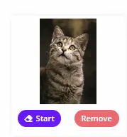bgeraser.com Upload 2